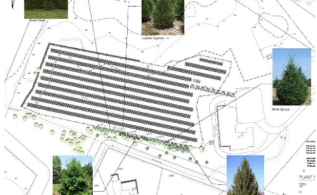 Screen-Shot-2022-07-13-at-1.38.51-PM-1-650×400