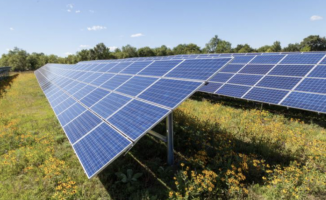 Screen-Shot-2022-07-13-at-1.39.04-PM-1-650×400