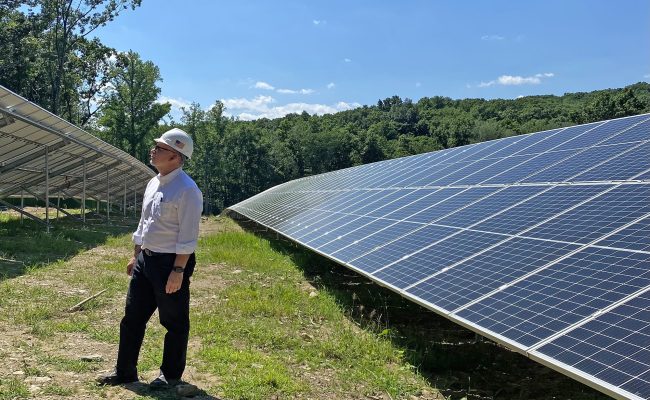 dIMG_8539-1-650×400